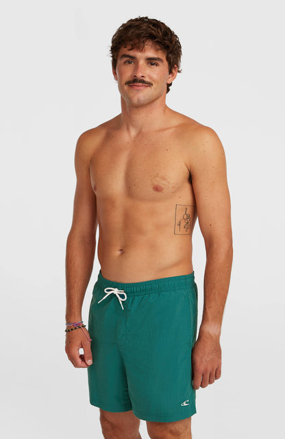 Men O'Neill Vert 16'' Swimshorts
