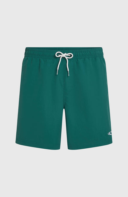 Men O'Neill Vert 16'' Swimshorts