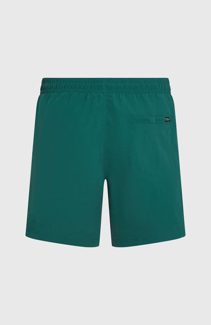 Men O'Neill Vert 16'' Swimshorts