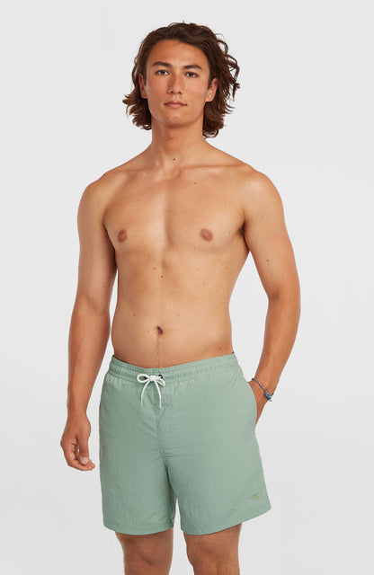 Men O'Neill Vert 16'' Swimshorts