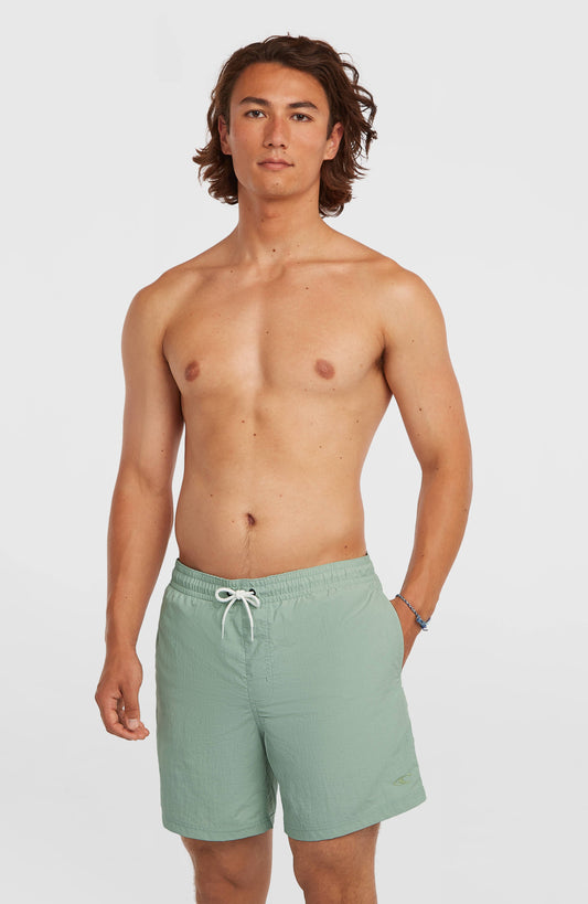 Men O'Neill Vert 16'' Swimshorts
