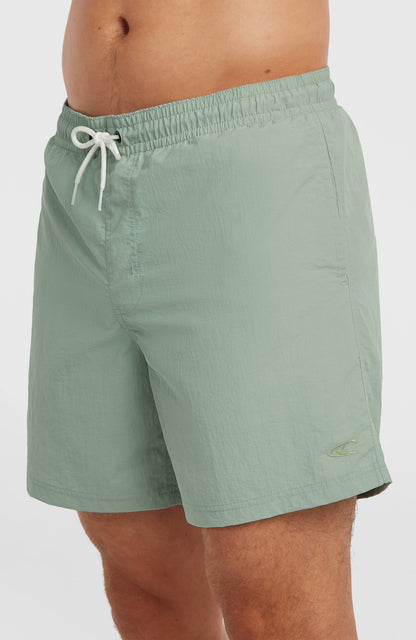 Men O'Neill Vert 16'' Swimshorts