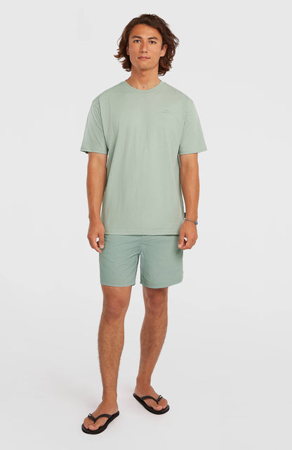 Men O'Neill Vert 16'' Swimshorts