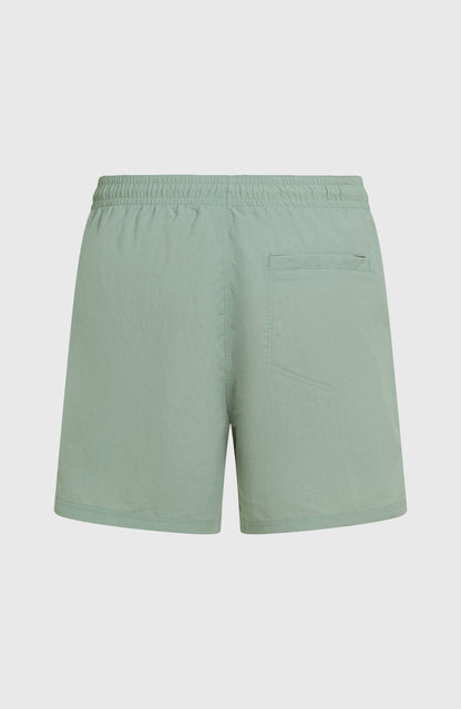 Men O'Neill Vert 16'' Swimshorts