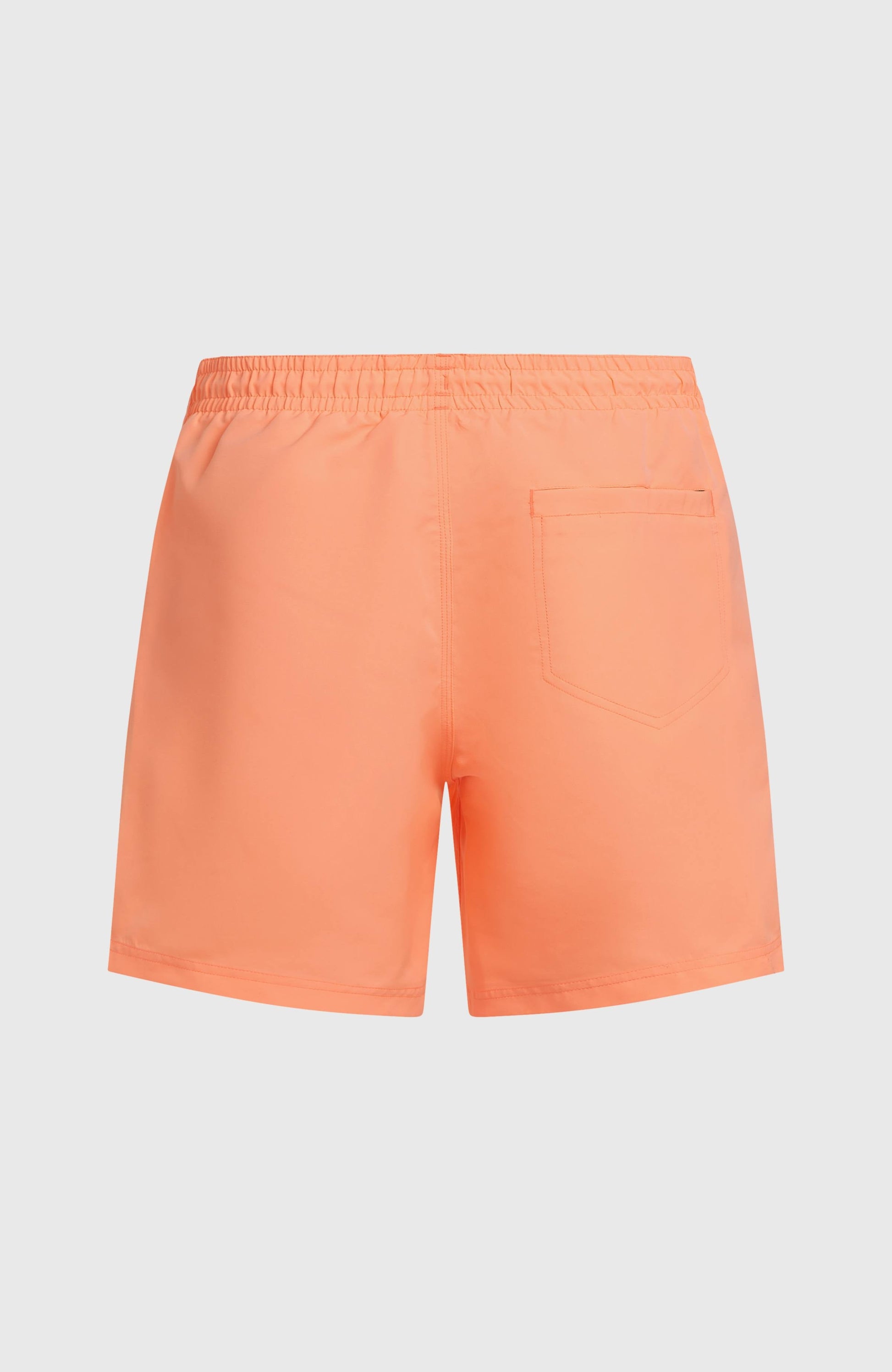 Men O'Neill Vert 16'' Swimshorts