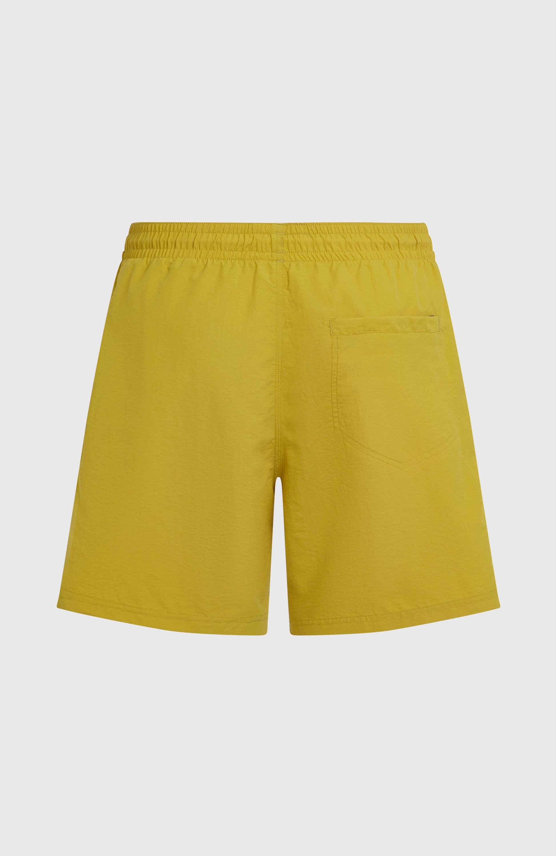 Men O'Neill Vert 16'' Swimshorts
