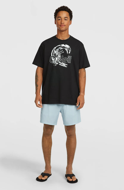 Men O'Riginals Cali Ocean 16'' Swimshorts