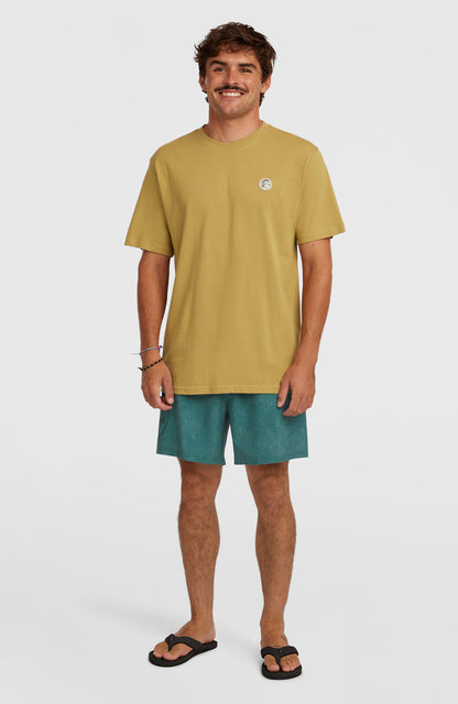 Men O'Riginals Cali Ocean 16'' Swimshorts