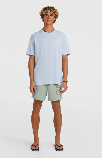Men O'Neill Cali 16'' Swimshorts