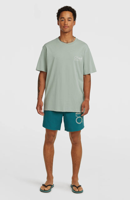 Men O'Neill Cali 16'' Swimshorts