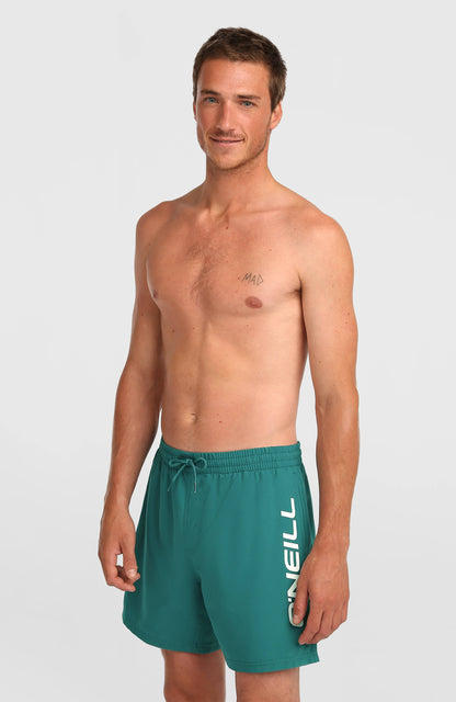 Men O'Neill Logo 16'' Swimshorts