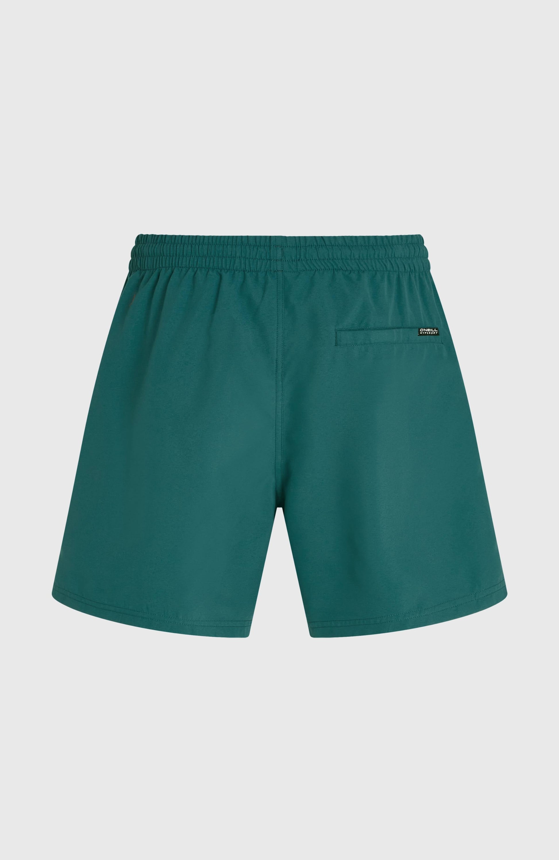 Men O'Neill Logo 16'' Swimshorts