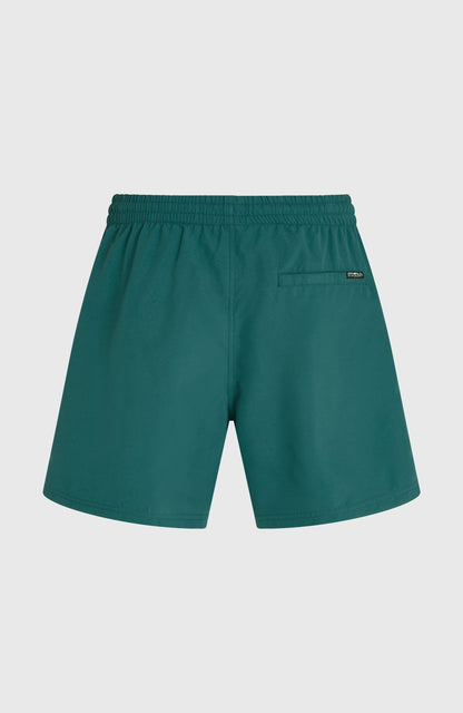 Men O'Neill Logo 16'' Swimshorts