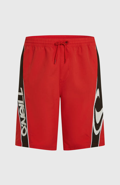 Men O'Neill 90s 21'' Swimshorts