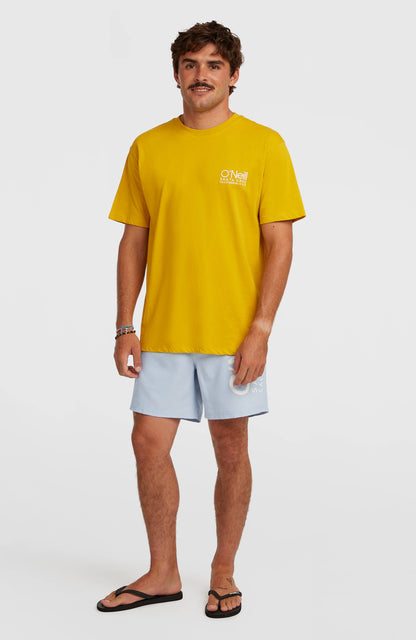 Men O'Neill Cali 16'' Swimshorts