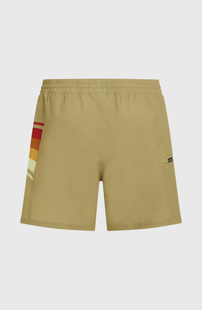 Men O'Riginals Side Panel 16'' Swimshorts