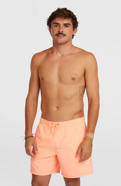 Men O'Neill Logo 16'' Swimshorts