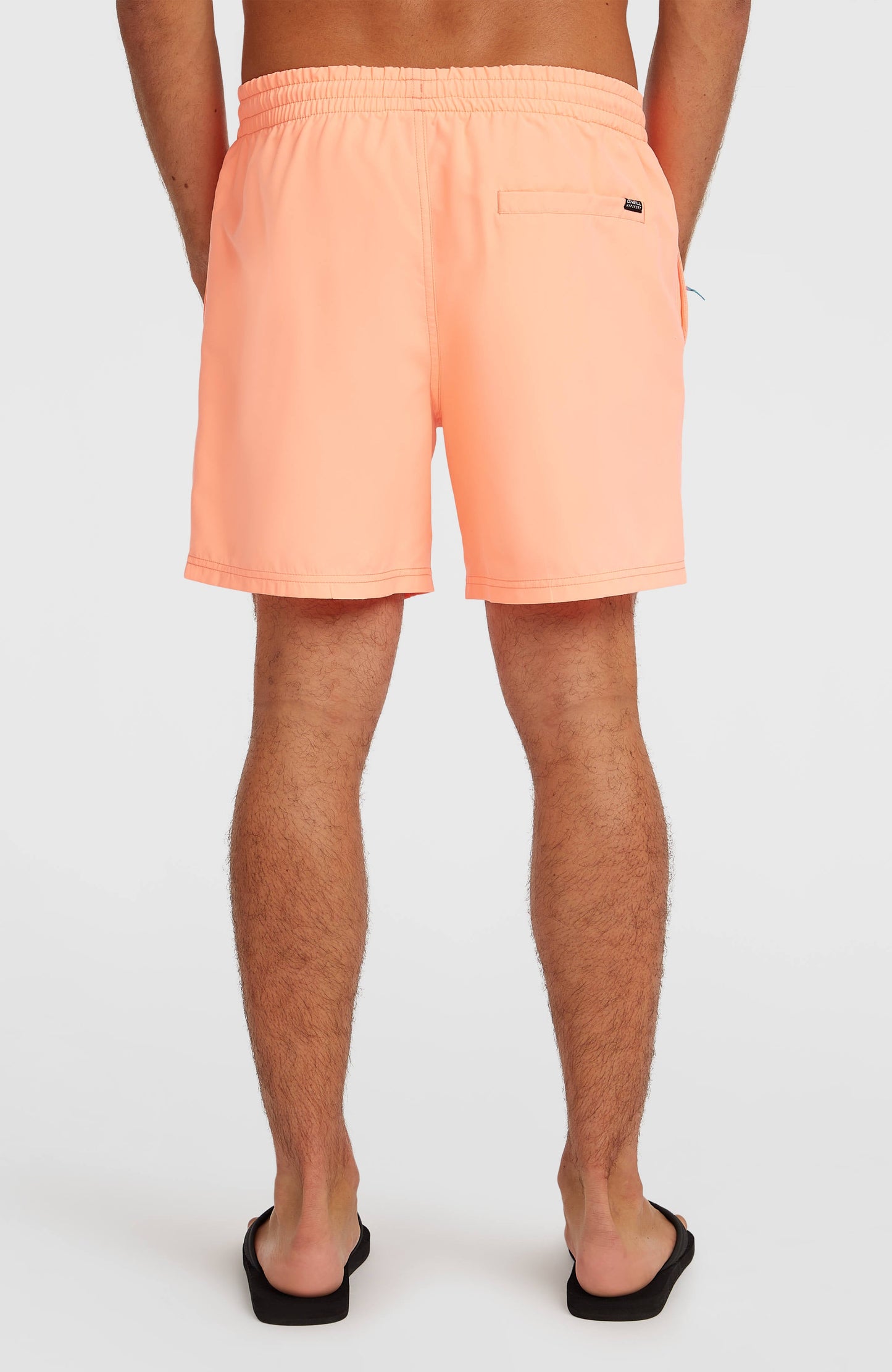 Men O'Neill Logo 16'' Swimshorts