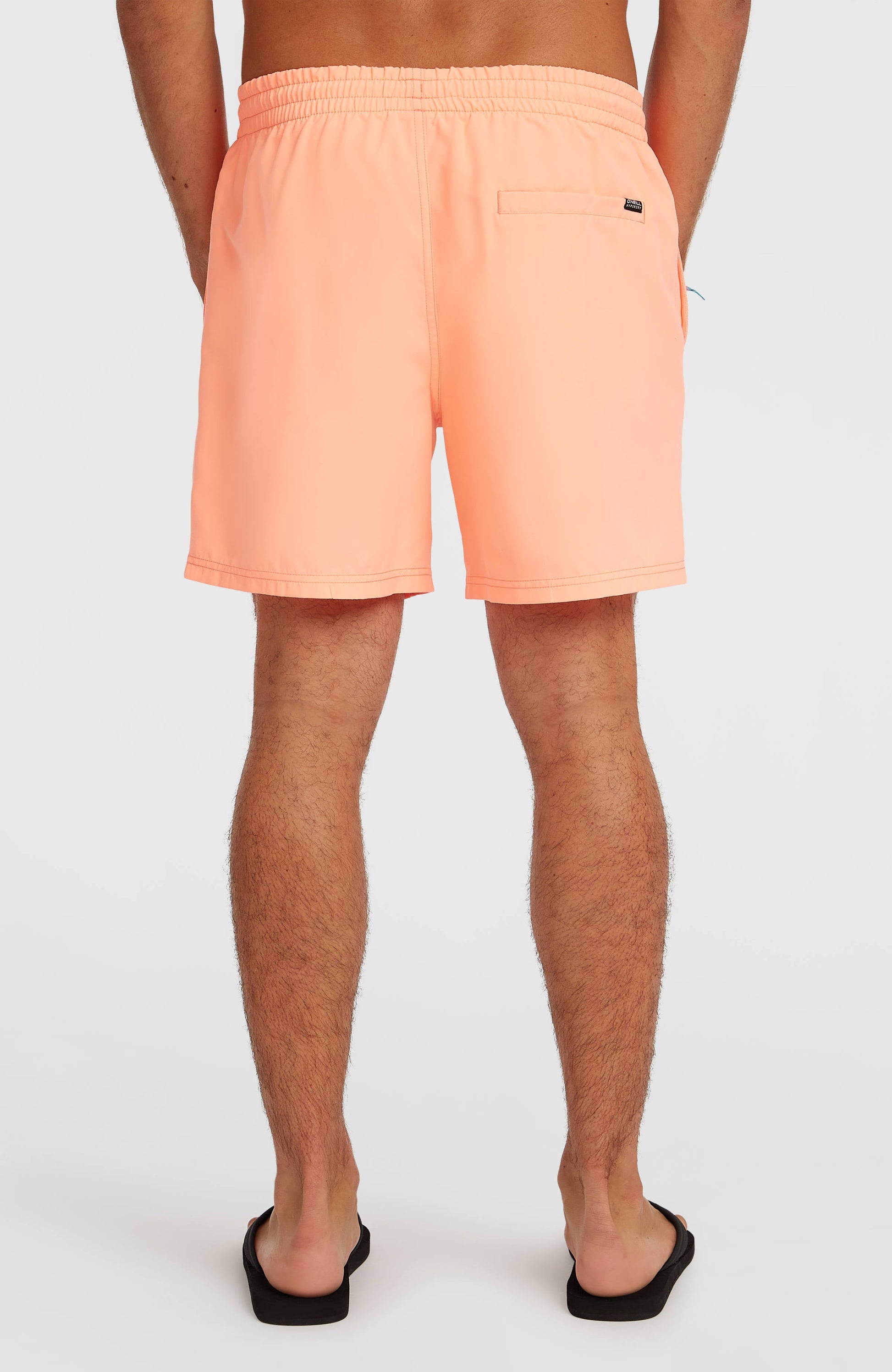 Men O'Neill Logo 16'' Swimshorts