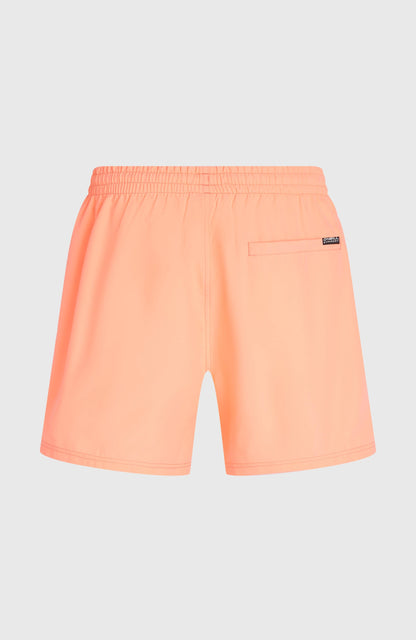 Men O'Neill Logo 16'' Swimshorts