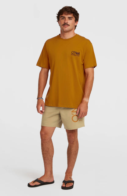 Men O'Neill Cali 16'' Swimshorts