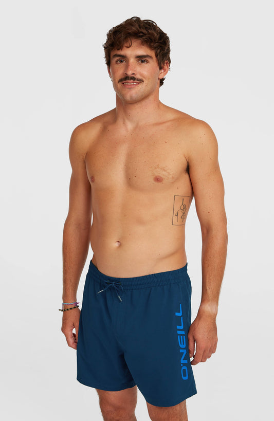 Men O'Neill Logo 16'' Swimshorts