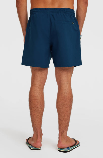 Men O'Neill Logo 16'' Swimshorts