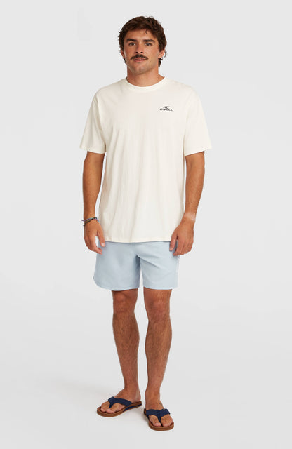 Men O'Neill Logo 16'' Swimshorts