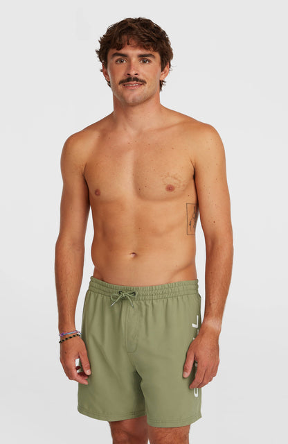 Men O'Neill Logo 16'' Swimshorts