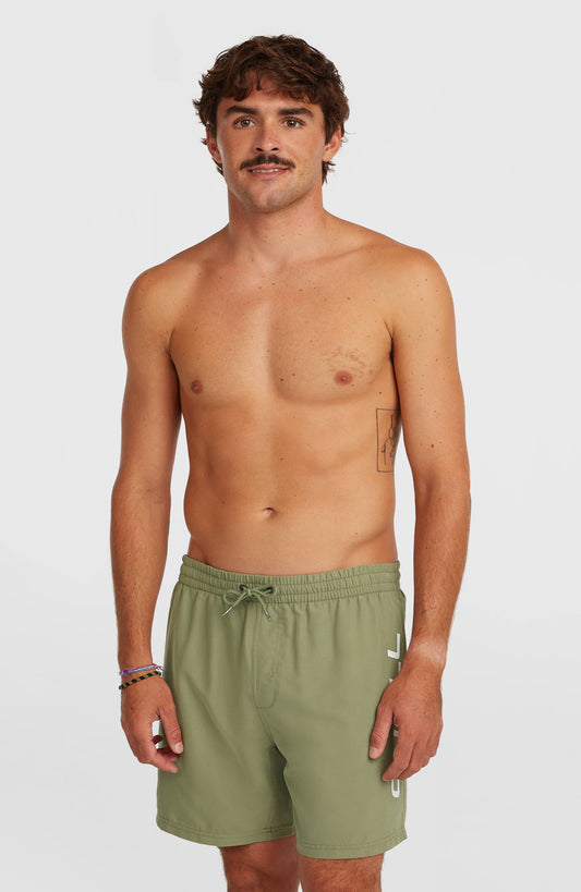 Men O'Neill Logo 16'' Swimshorts