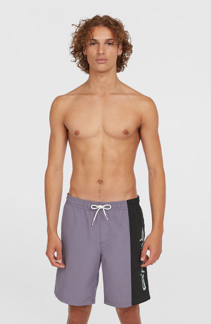 Men Retro 19'' Swim Shorts
