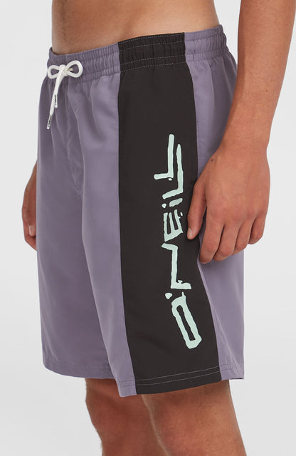 Men Retro 19'' Swim Shorts
