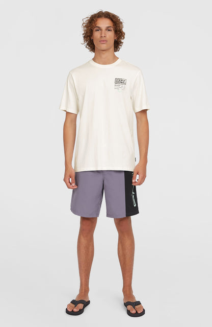 Men Retro 19'' Swim Shorts