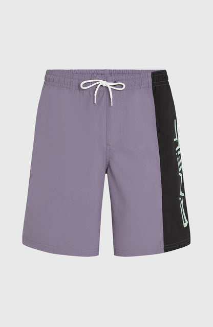 Men Retro 19'' Swim Shorts