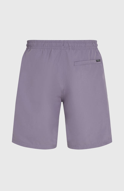 Men Retro 19'' Swim Shorts