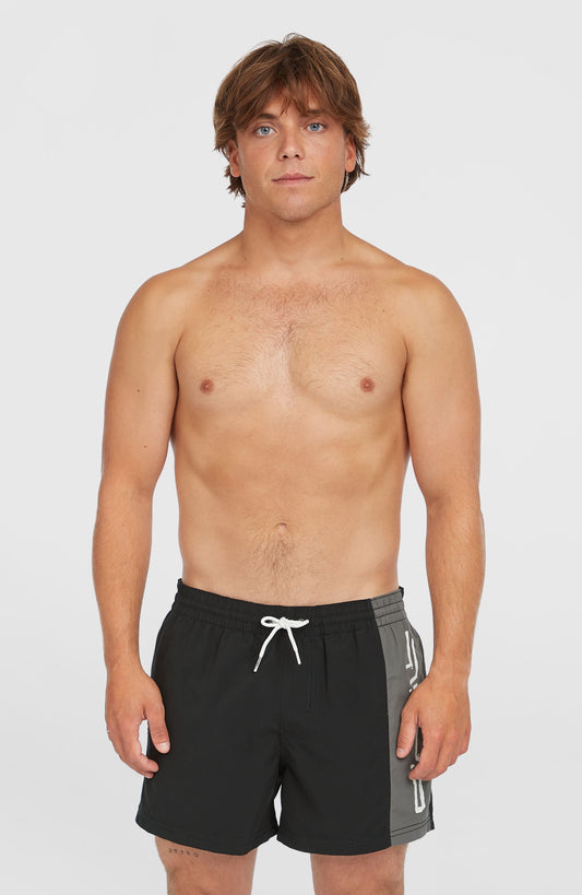 Men Retro 14'' Swim Shorts