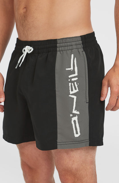 Men Retro 14'' Swim Shorts