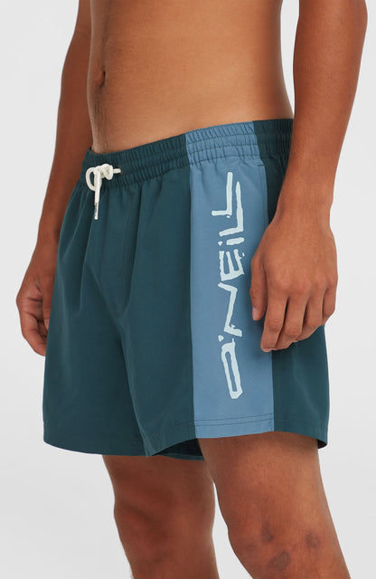 Men Retro 14'' Swim Shorts