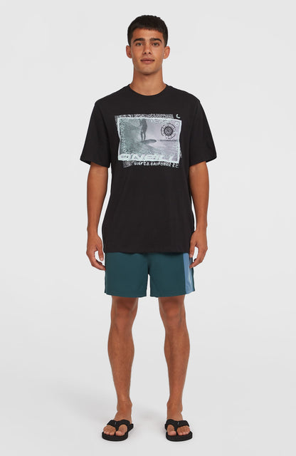 Men Retro 14'' Swim Shorts