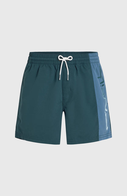 Men Retro 14'' Swim Shorts