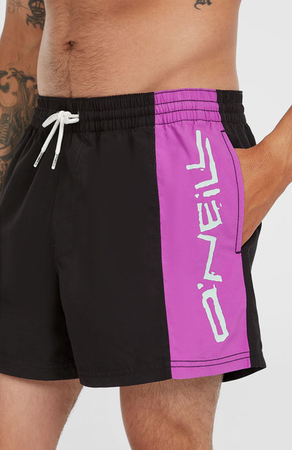 Men Retro 14'' Swim Shorts