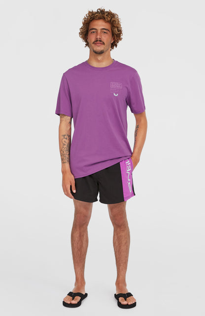 Men Retro 14'' Swim Shorts
