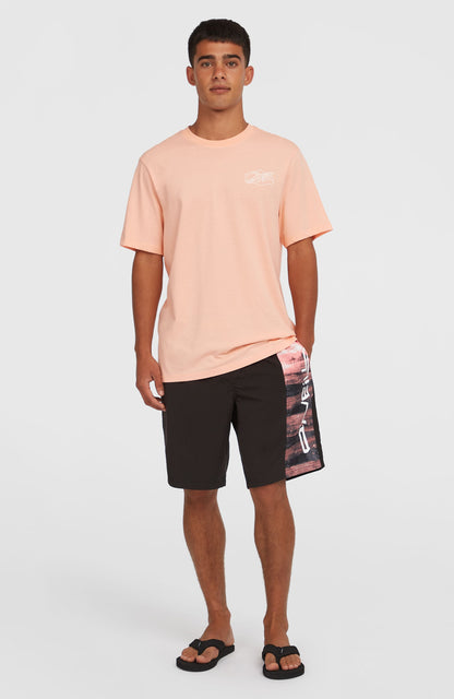Men Retro 19'' Swim Shorts