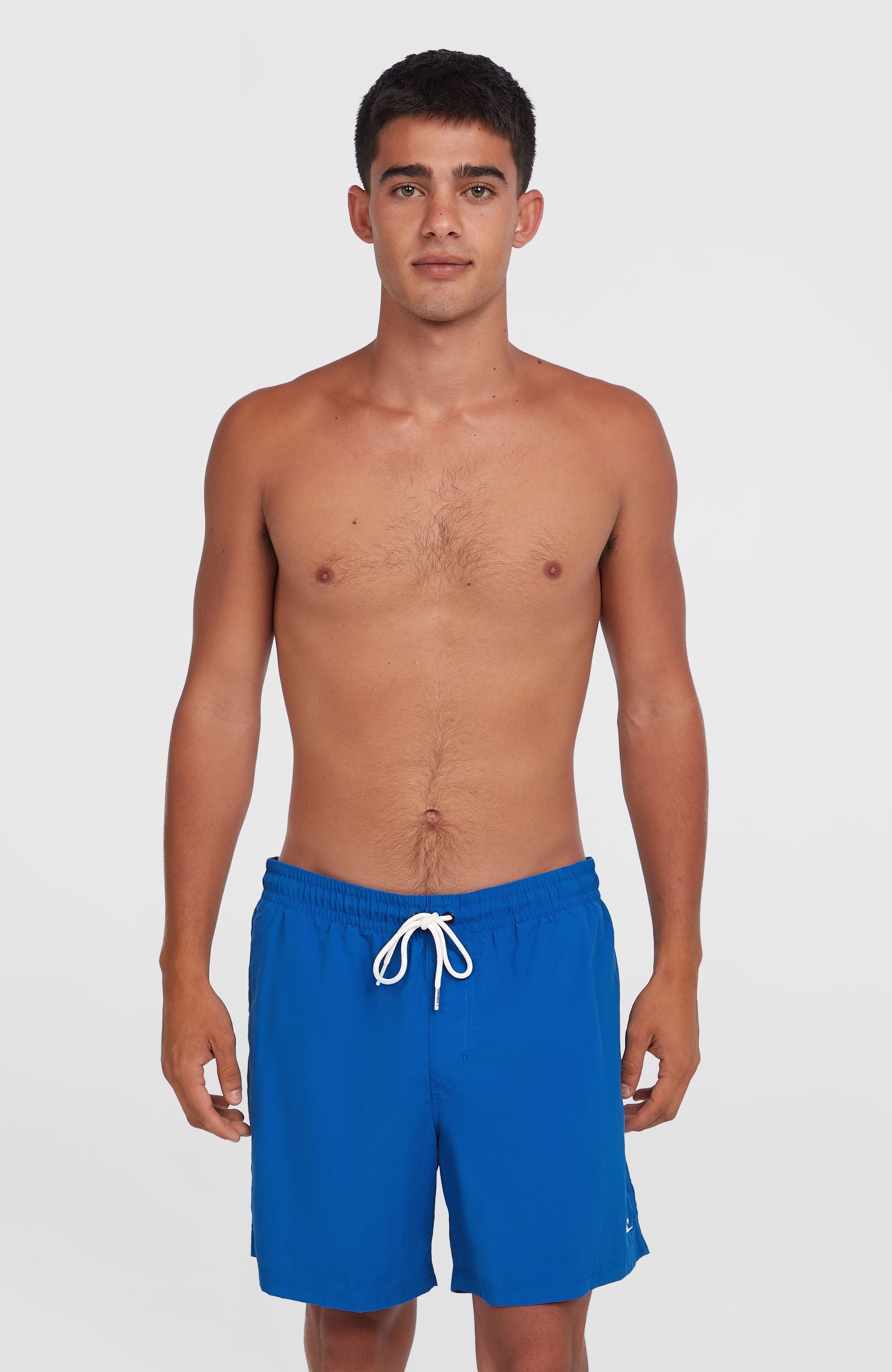 Men O'Neill Vert 16" Swim Shorts