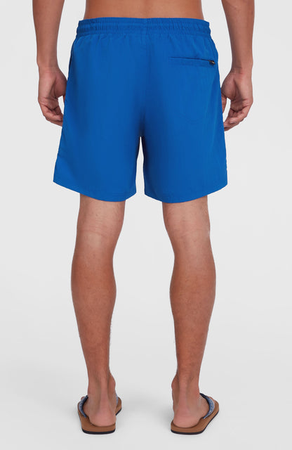 Men O'Neill Vert 16" Swim Shorts