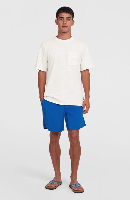 Men O'Neill Vert 16" Swim Shorts