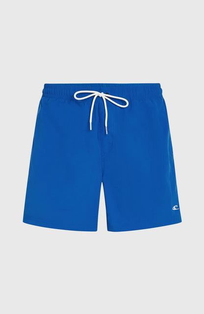 Men O'Neill Vert 16" Swim Shorts