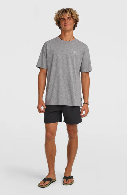 Men O'Neill Logo 16" Swimshorts