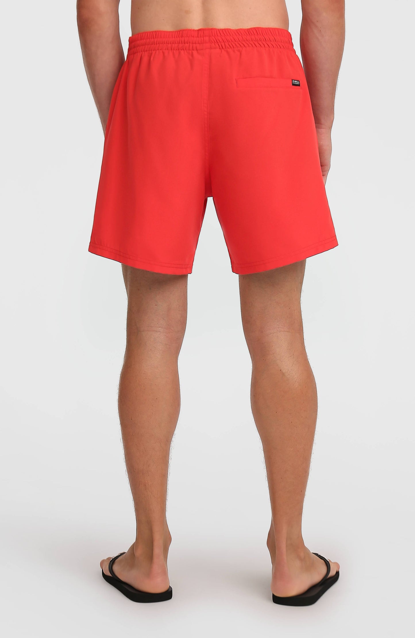 Men O'Neill Cali 16" Swimshorts