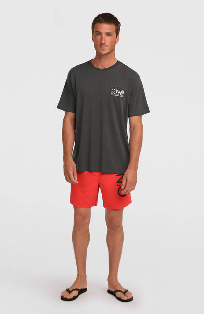 Men O'Neill Cali 16" Swimshorts